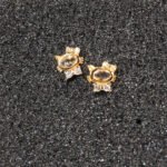 trans-Aretes_gatita_gata_topos-oro_gatuna-dorado